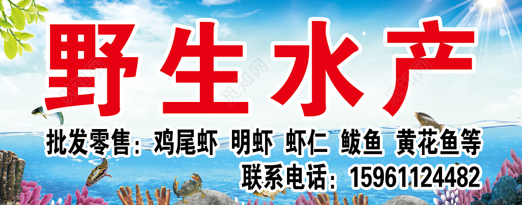 觅知网 设计素材 广告设计 美食海鲜野生水产宣传展板.psd